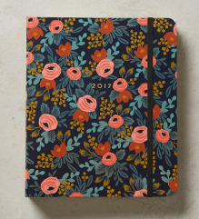 Screen Shot 2016-11-27 at 12.59.37 PM.png